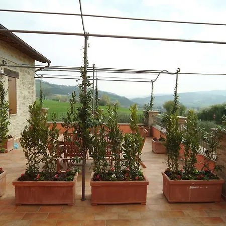 Casale Le Selvette * Ripa