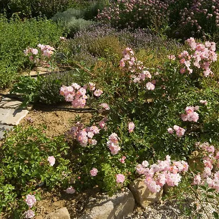 Casale Le Selvette Ripa