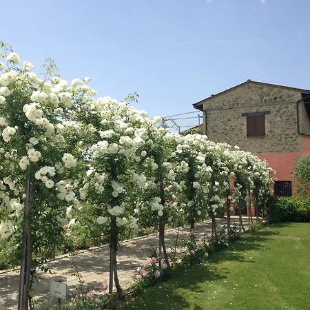 Casale Le Selvette Casa rural Ripa
