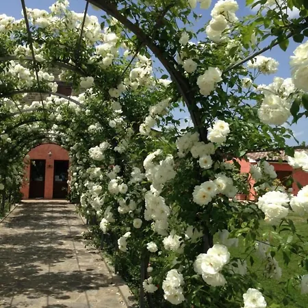 Casale Le Selvette *