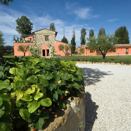 Casale Le Selvette * Ripa