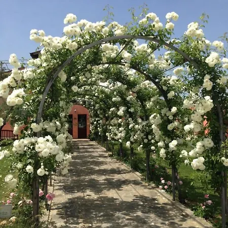 Casale Le Selvette Casa rural *
