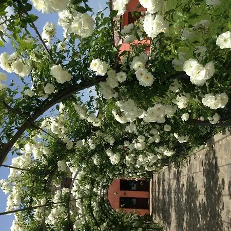 Casale Le Selvette Casa rural Ripa