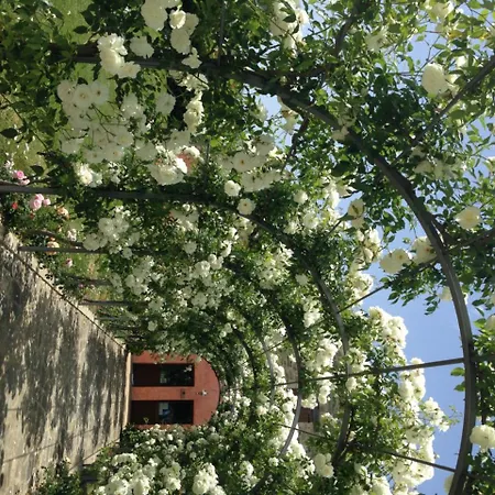 Casale Le Selvette Country house