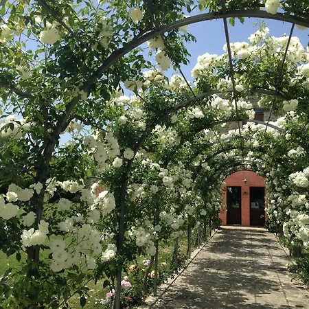 Casale Le Selvette * Ripa